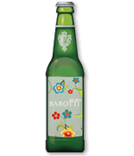 beer bottle template vettoriale